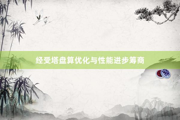 经受塔盘算优化与性能进步筹商