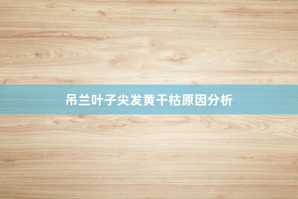 吊兰叶子尖发黄干枯原因分析