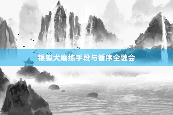 银狐犬磨练手段与循序全融会